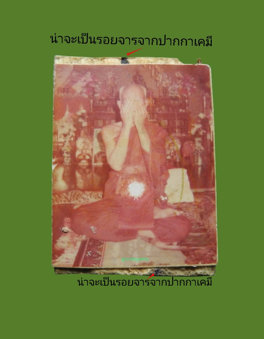รูปถ่ายหลังหนังเสือหลวงพ่อตาบ วัดมะขามเรียง